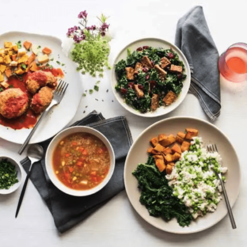 Veestro Plant Based Veestro Plant Based