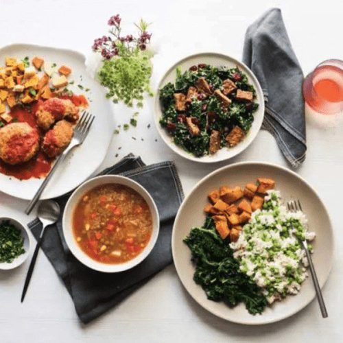 Veestro Plant Based Veestro Plant Based