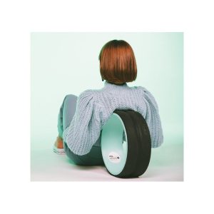 Chirp Wheel+